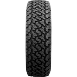 Maxxis AT980 - Mild on Road.  Wild off road.