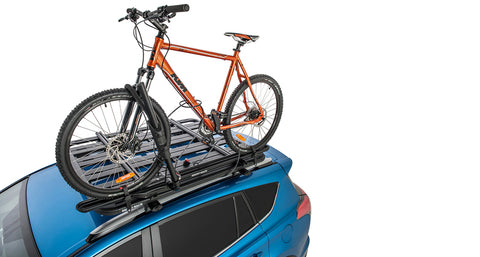 Hybrid Bike Carrier